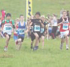 2011 NEHL Cramlington