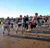 2012 Blyth Sands 5