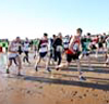 2012 Blyth Sands 5
