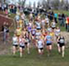 2012 Inter Counties Cross Country