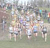 2012 McCain Inter Counties Cross Country