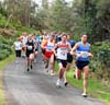 2012 Run Northumberland 10k