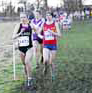 2013 BUCS Cross Country