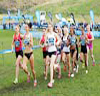 2013 Cross Country
