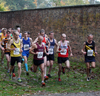 2013 Gibside Trail Race
