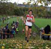 2013 NEHL Blaydon