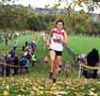 2013 NEHL Blaydon