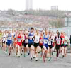 2013 Terry O'Gara Memorial 5k