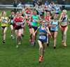 2014 European Cross Country Trials