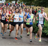 2014 National 6 and 4 Road Relays