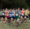 2016 National Cross Country Relays