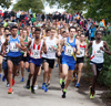 2017 ERRA 6 and 4 Stage and Junior Relays