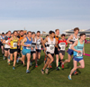 2017 North Eastern Cross Country Champs