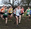 2017 Northern Cross Country Champs