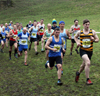 2018 Start Fitness NEHL Peterlee