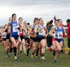 2019 Northern Cross Country Champs