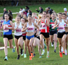2021 National Cross Country Relays