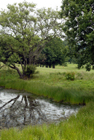 Beamish Park Golf Club