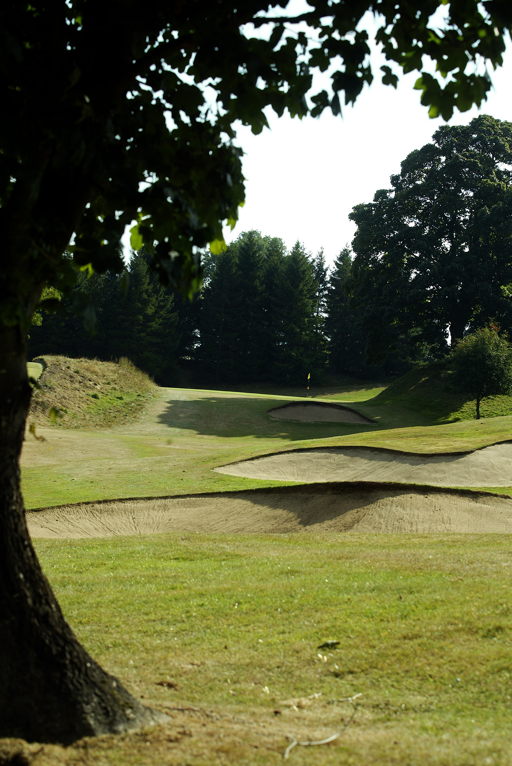 Hexham Golf Club