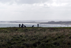 Magdalene Golf Course, Berwick upon Tweed