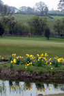 Rothbury Golf Club 16th green